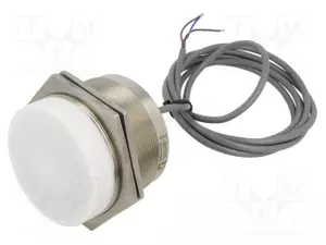 IN991070 IPF ELECTRONIC