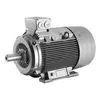 Stř&iacute;dav&yacute; indukčn&iacute; motor Siemens řady 1LA9 1LA9166-2LA91-ZT30