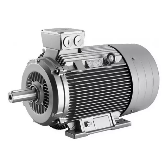 Động cơ cảm ứng xoay chiều d&ograve;ng 1LA9 của Siemens 1LA9166-2LA91-ZT30