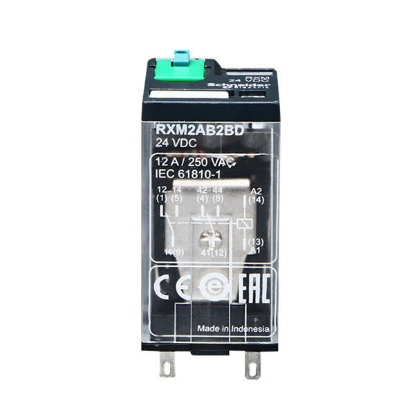 Schneider Miniature Relays RXM2AB2BD DC24V